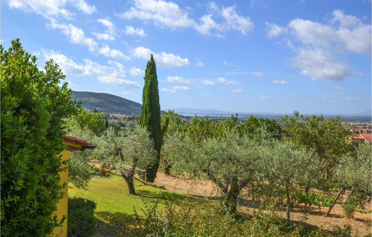 Cozy Home In Cortona With Kitchen Εξωτερικό φωτογραφία